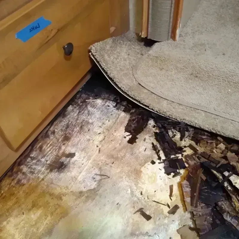 Wood Floor Water Damage in Edgewood, MD